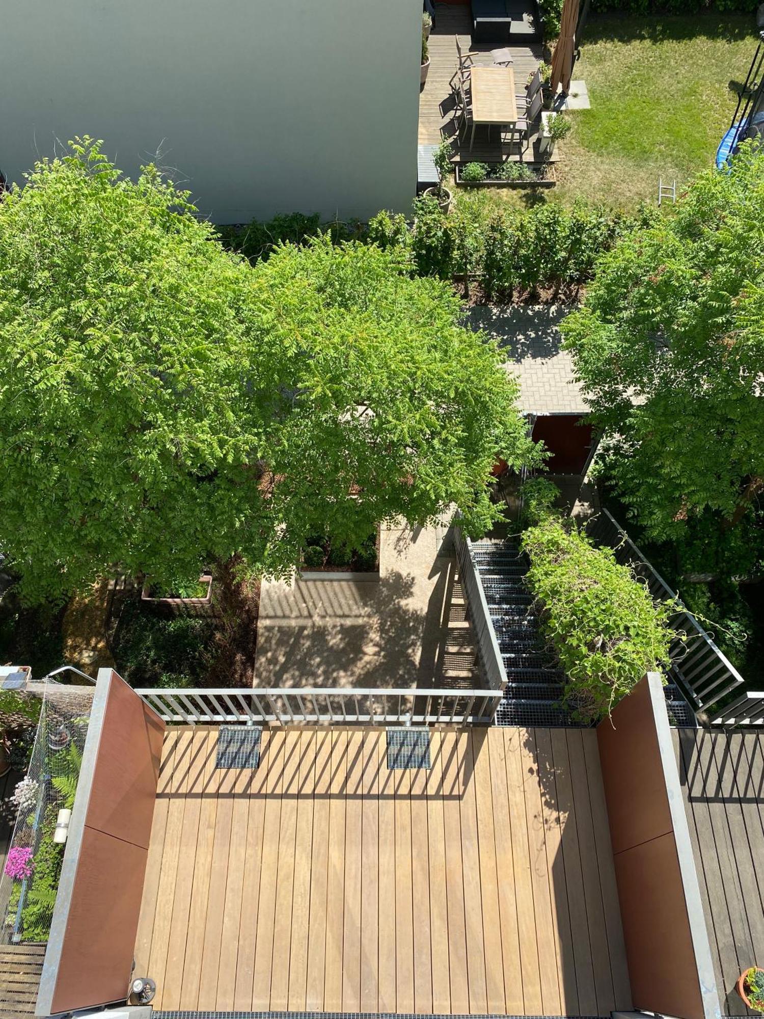 Townhouse Alaunpark Dresden Exterior foto